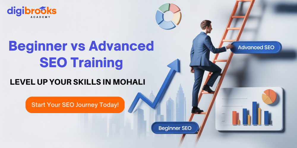 Beginner Vs Advanced SEO Training
